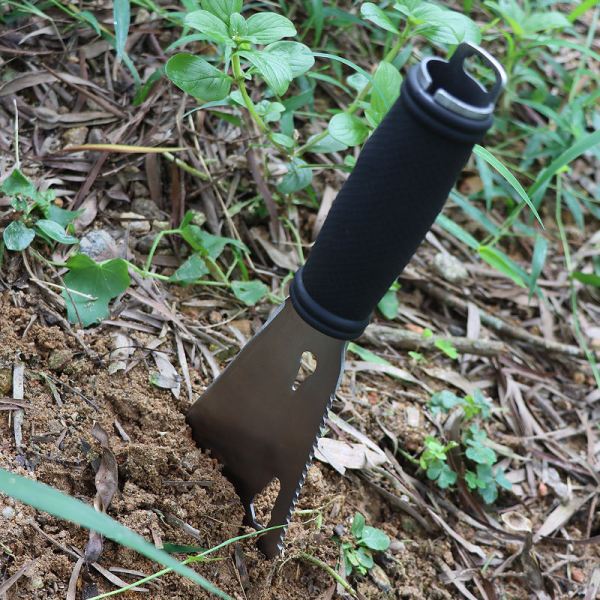 WwaoHbd1c384ac9404eee8556181a22a56b8dG