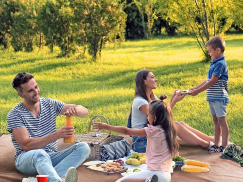 The Ultimate Picnic Guide for Beginners